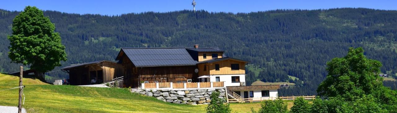 Gut Maierlehen Apartamento Radstadt Exterior foto